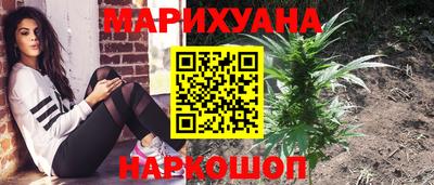 спайс Малгобек