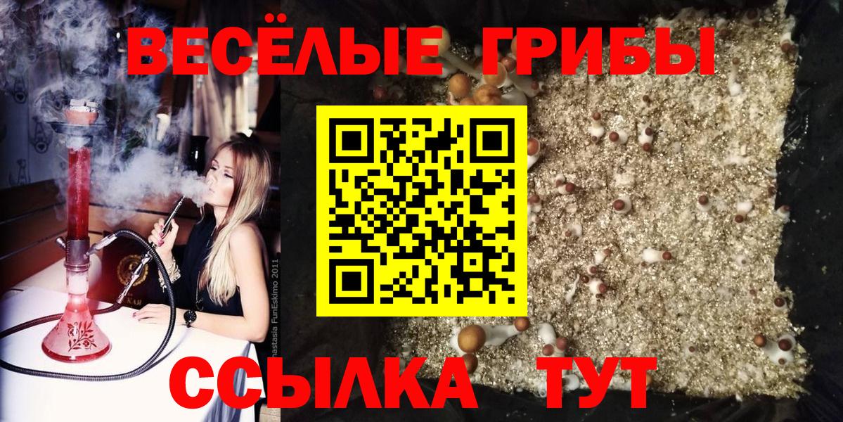Галлюциногенные грибы Psilocybine cubensis  Псилоцибиновые грибы GOLDEN TEACHER  цена   Елабуга  Вход с VPN 