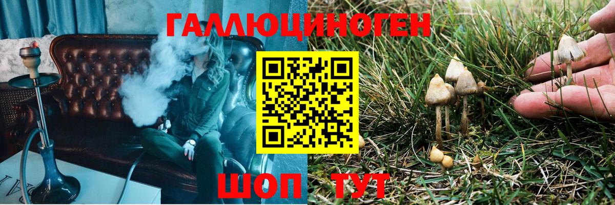 Галлюциногенные грибы мухоморы Елабуга
